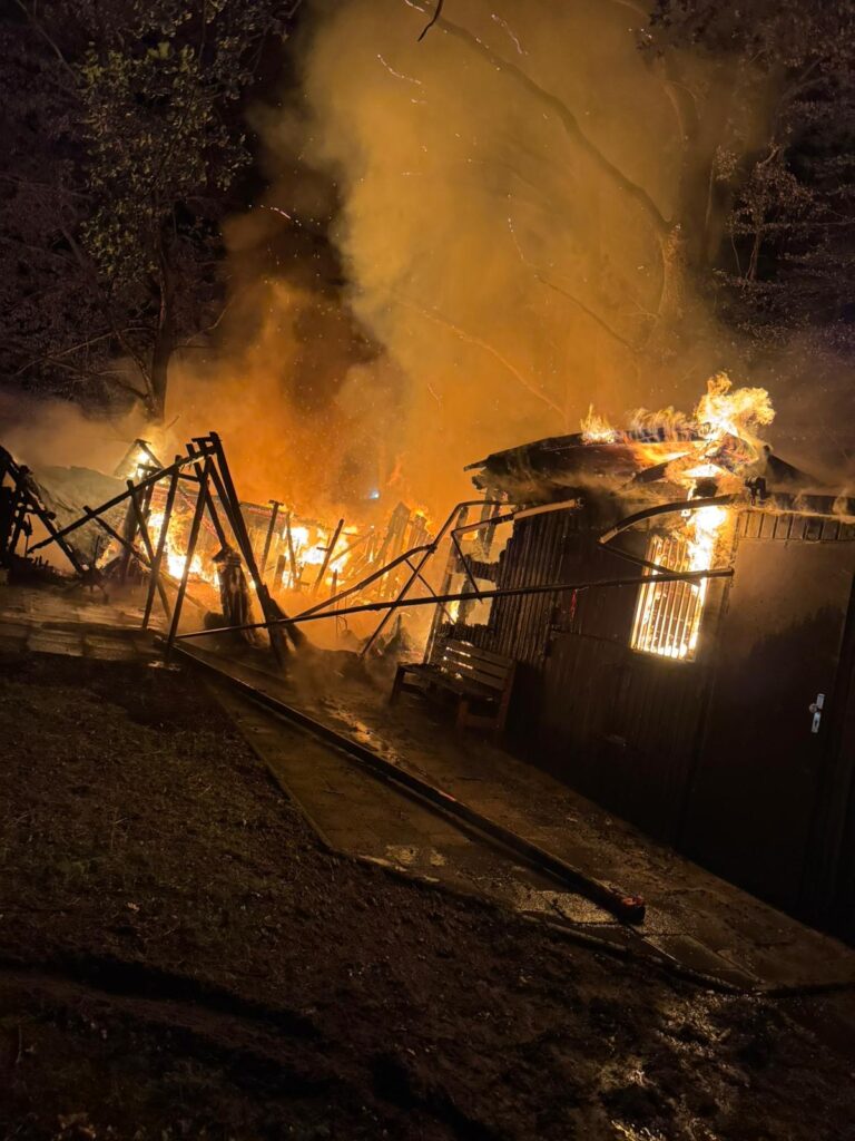 Brennendes Gebäude im Wald nachts.