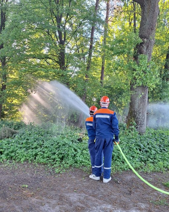 Feuerwehrleute gießen Wasser im Wald