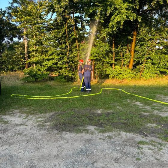 Feuerwehrleute bewässern Bäume im Freien.